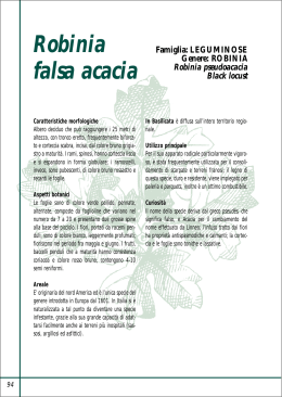 Robinia falsa acacia - Consiglio Regionale della Basilicata