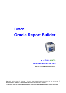 Tutorial Report Builder 2.0 - l`AlterBlog di charlie