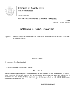 DETERMINA N.30 del 15/4/2013