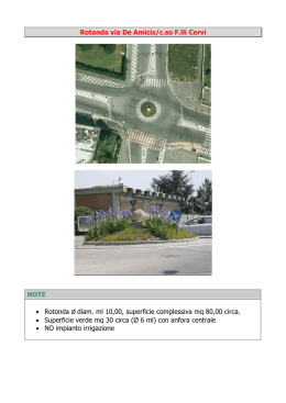 Rotonda Via De Amicis/C.so F.lli Cervi