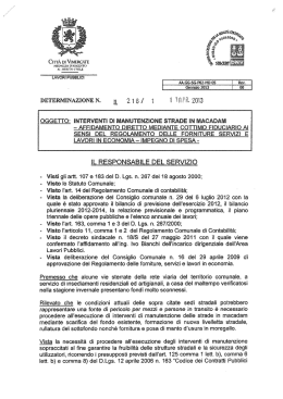 Determinazione n. 216/1 del 11.04.2013