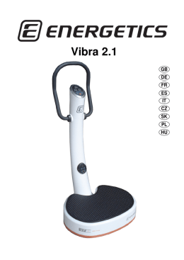 Vibra 2.1 Assemb.2009-GB-DE-FR-ES-IT-CZ-SK-PL