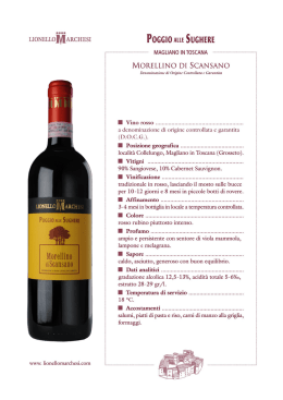 Scarica Scheda Prodotto in formato PDF