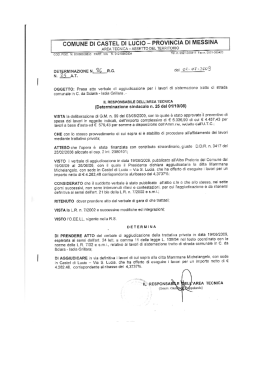 n. 86 Determina Area Tecnica