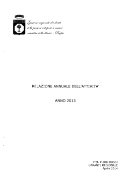 Relazione sull`attivit&agrave; svolta nell`anno 2013