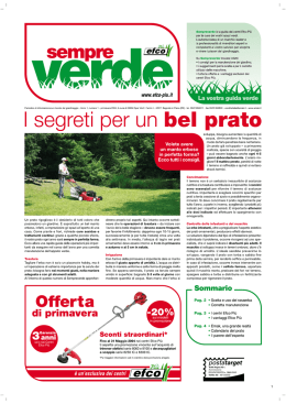 Sempreverde &egrave; la guida dei centri Efco Pi&ugrave; per la cura dei vostri