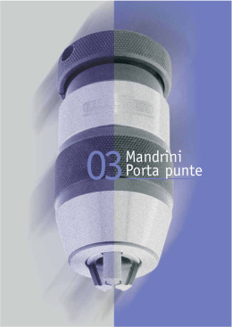 Scarica e Visualizza il Catalogo Mandrini porta