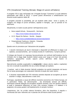 VTA (Vocational Training Abroad, Stage di Lavoro all`estero)