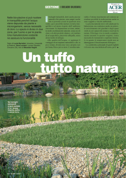 Un tuffo tutto natura