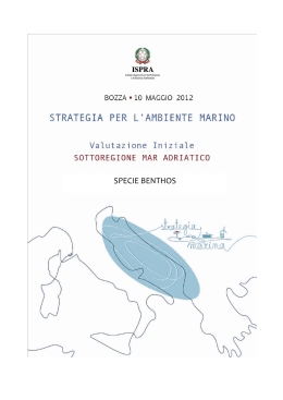 4.3.5 Mar Adriatico - La strategia marina