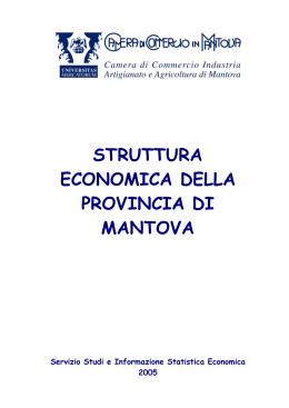 struttura economica della provincia di mantova