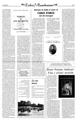 Viadana e suo distretto (parte 2)