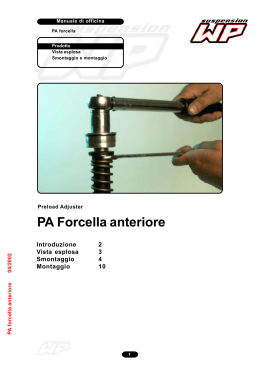 PA Forcella anteriore