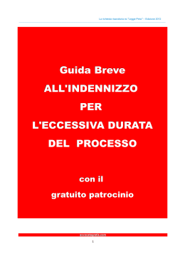 Manuale Guida Breve Legge Pinto