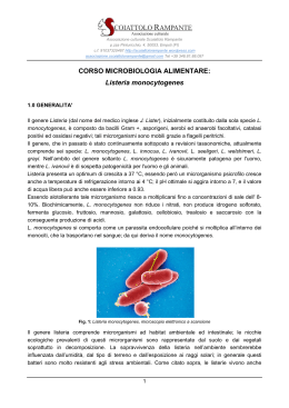 CORSO MICROBIOLOGIA ALIMENTARE: Listeria monocytogenes