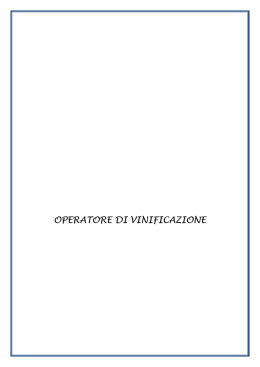 OPERATORE DI VINIFICAZIONE - Home | Apprendistato Sicilia