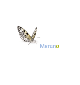 Profil von Meran