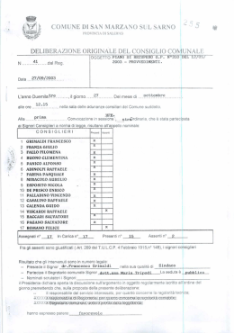 Delibera C.C. n. 41 del 2003 - Comune di San Marzano sul Sarno