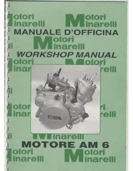 manuale di officina minarelli am6