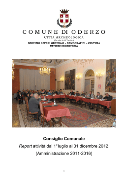 Report II semestre 2012
