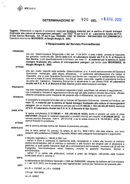 DETERMINAZIONE N°_ 920 DEL 9 6 5` U` 2013