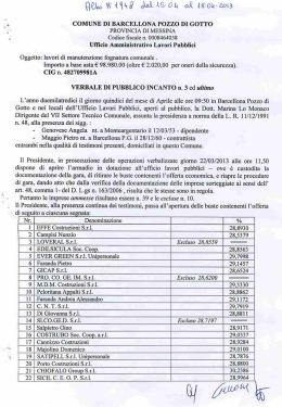 verbale pubblico incanto manutenzione fognatura