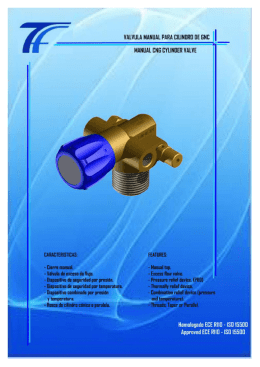 Valvula de cilindro manual - Pag 00.psd