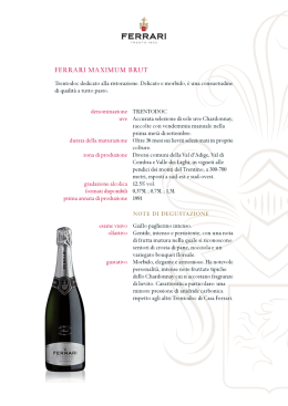 SCHEDA MAXIMUM BRUT
