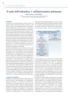 Il ruolo dell`endotelina-1 nell`ipertensione polmonare