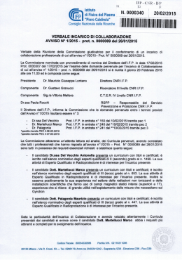 Verbale - Istituto di Fisica del Plasma