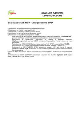 SAMSUNG SGH-X550 - Configurazione WAP