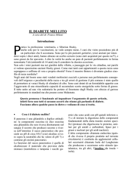 Leggi pdf - Clinica Veterinaria Legnone