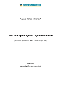 &ldquo;Linee Guida per l`Agenda Digitale del Veneto&rdquo;