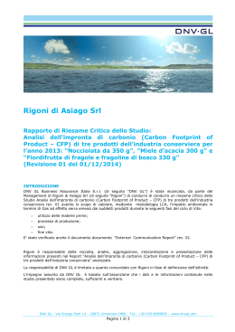 Rigoni - Rapporto di Verifica e Validazione_2014