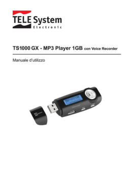 TS1000GX - 28020008 - ver.00 manuale d`uso