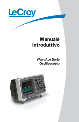 Manuale Introduttivo