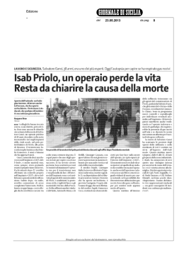 Scarica il file in pdf