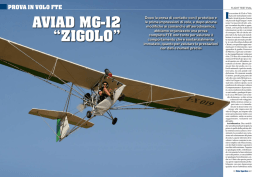 Italian article