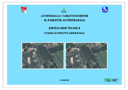 SINTESI NON TECNICA
