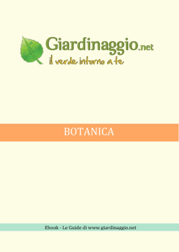 scarica subito il nostro ebook : Botanica