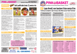01-11-2012 Pink Basket