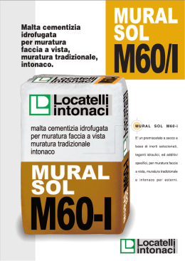 MURALSOL M60i