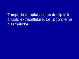 Trasporto e metabolismo dei lipidi in ambito extracellulare. Le