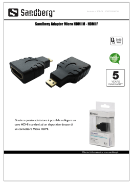 Sandberg Adapter Micro HDMI M