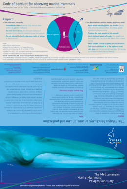 Code of conduct for observing marine mammals The Pelagos