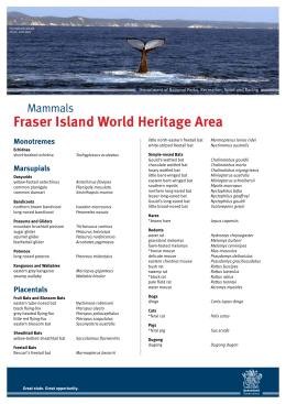 Mammals Fraser Island World Heritage Area