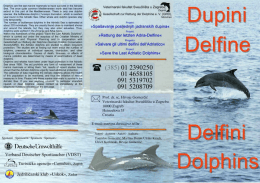 Dupini-Delfine-Delfini