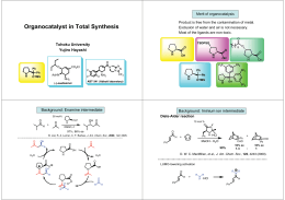 Ischia-selected slide