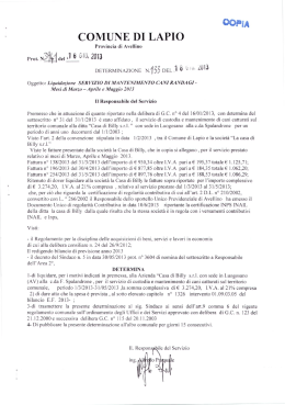 COPIA COMUNE DI LAPIO