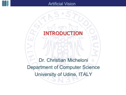 The artificial vision - Università degli Studi di Udine